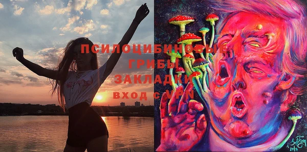 марки nbome Горнозаводск