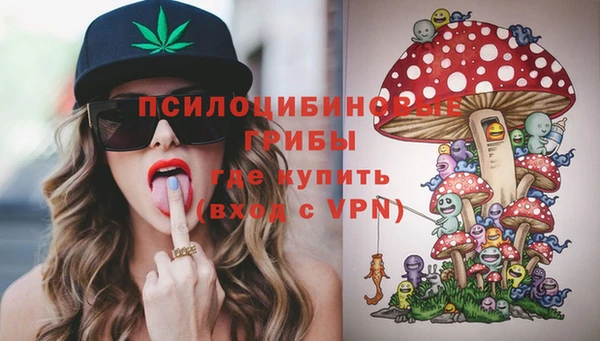марки nbome Горнозаводск