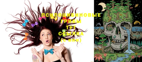 марки nbome Горнозаводск