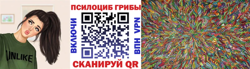цены   Брянск  Псилоцибиновые грибы MAGIC MUSHROOMS 